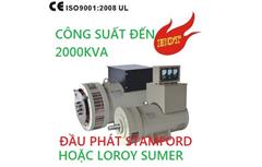 Củ phát stamford hoặc Leroy sumer