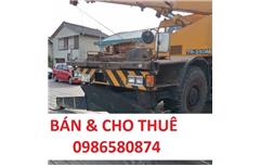 XE CẨU BÁNH LỐP TANADO TR250M-4